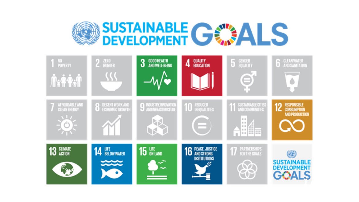 联合国通过了《2030年可持续发展议程》,其中包括 17个可持续发展目标