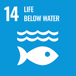 UN Goal-14 Life Below Water